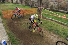 IMG_20191222_121234_1